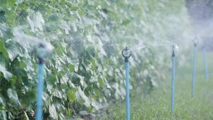 农场洒水自动浇水系统。
