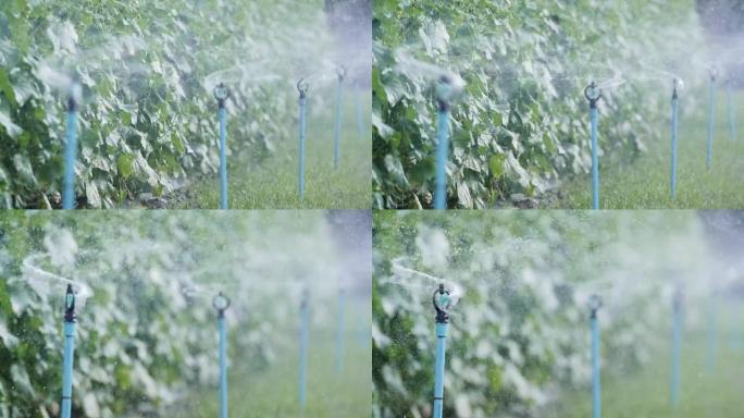 农场洒水自动浇水系统。