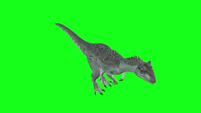 动画-在绿屏背景上行走的异特龙。恐龙世界