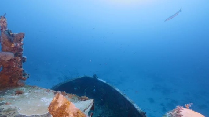 库拉索岛加勒比海珊瑚礁绿松石水中的沉船 “高级生产者”