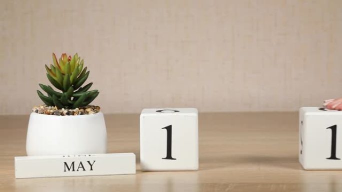 木制日历对5月11日来说是一个重要的事件，女人的手在日历上设置日期。春季。