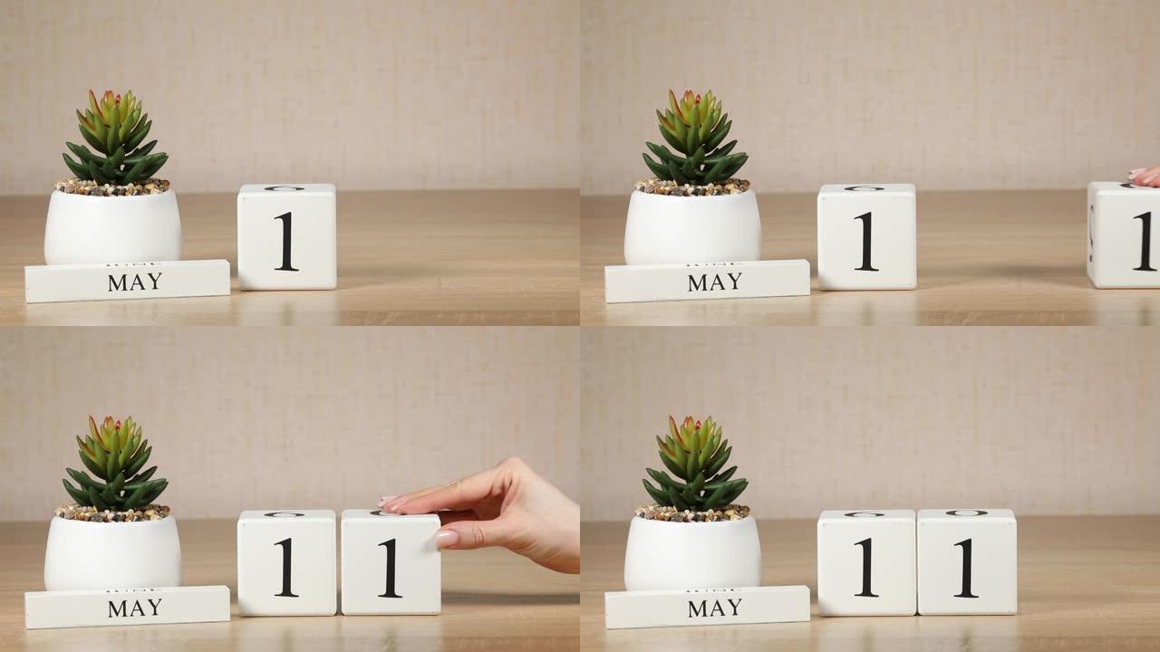 木制日历对5月11日来说是一个重要的事件，女人的手在日历上设置日期。春季。