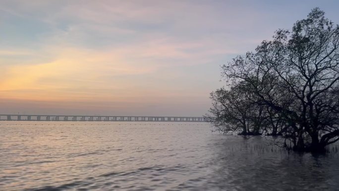 海边自然美景海水晚霞天空树桥分割感