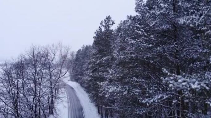 新娘走在冬天的路上穿过一片白雪皑皑的森林。白雪覆盖的森林道路