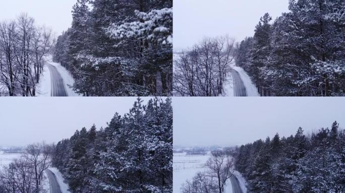 新娘走在冬天的路上穿过一片白雪皑皑的森林。白雪覆盖的森林道路