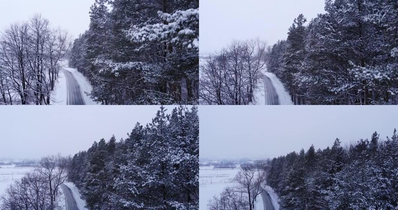 新娘走在冬天的路上穿过一片白雪皑皑的森林。白雪覆盖的森林道路