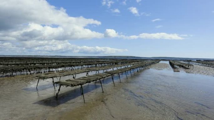 爱尔兰海岸退潮时的牡蛎床。多云的天空。爱尔兰伍德斯托克·沃特福德