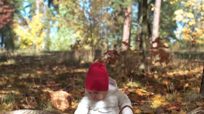 正宗的小可爱快乐胖乎乎的高加索婴儿女婴6-8个月，戴着红帽子，坐在秋公园或森林里落叶的格子上。秋天的