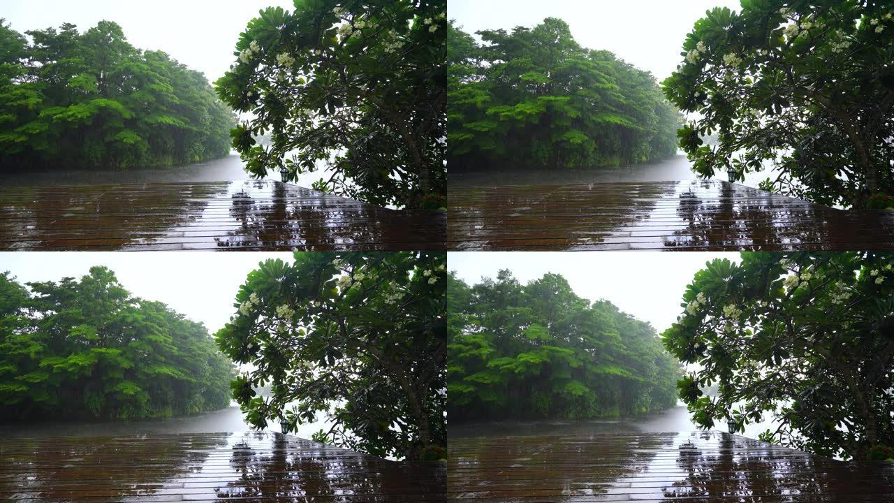 热带雨滴落在热带森林的木制露台上，有雨声，热带雨重在湖面。