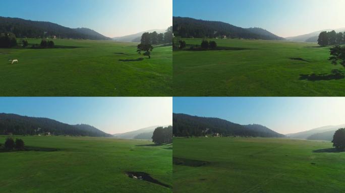牧场和放牧马的山地景观，雾蒙蒙的日出，空中4k视频