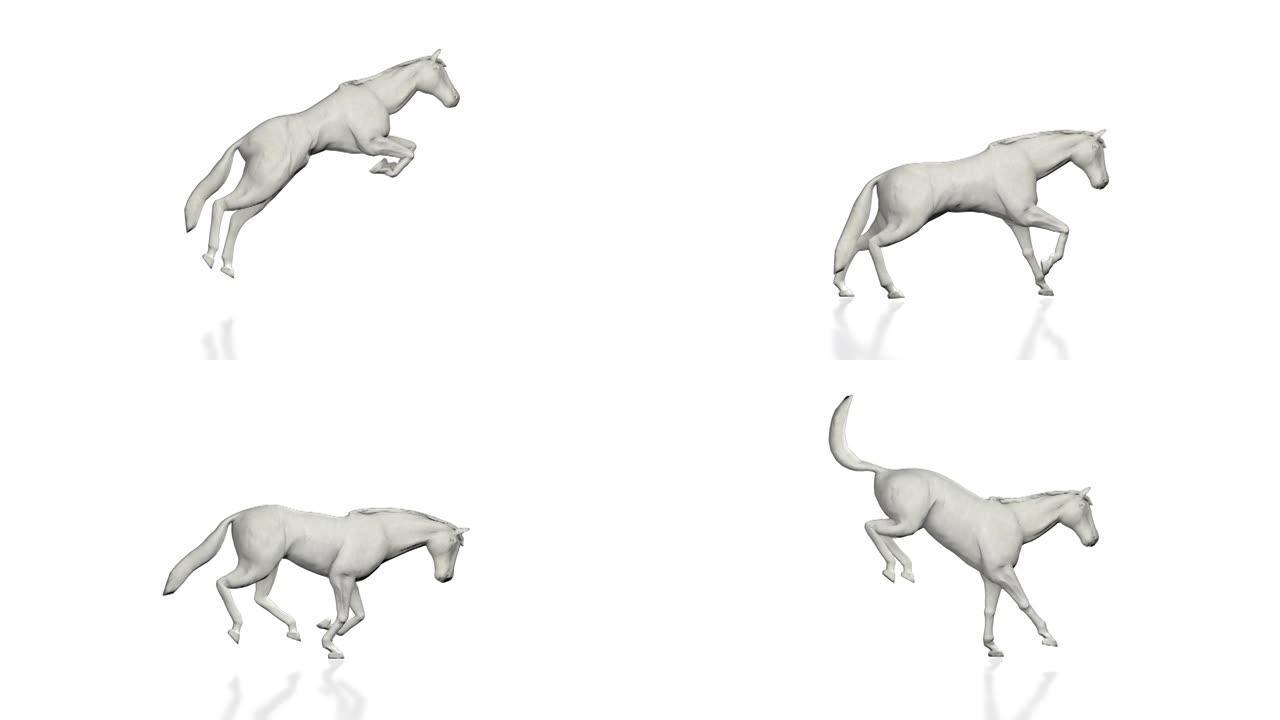 纸马跑和跳，无缝循环，对抗白色