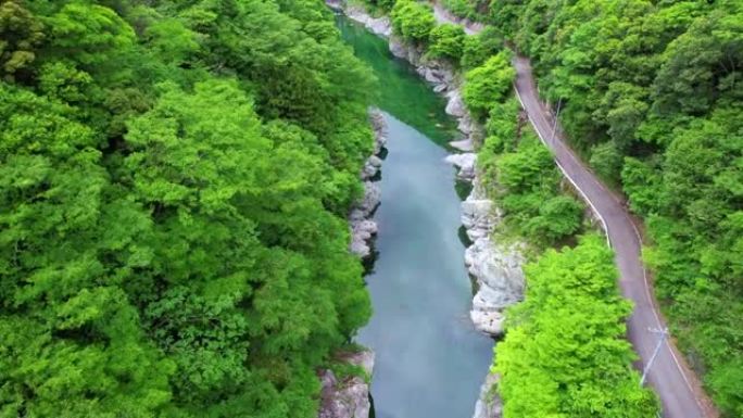 流经德岛县三好市的伊雅川的美丽初夏景色