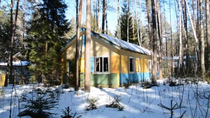 天启或全球灾难的概念，森林中废弃的木屋