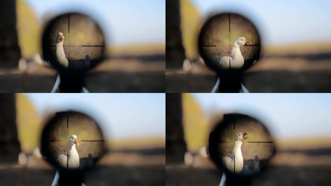 猎鹅、狙击步枪、瞄准器