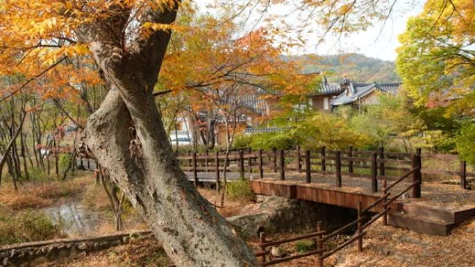 韩国首尔恩平韩屋村的秋天