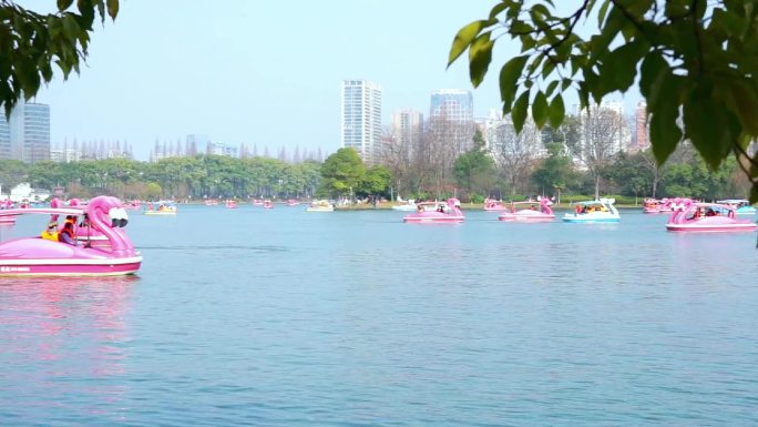 长沙烈士公园 水上游船风景视频