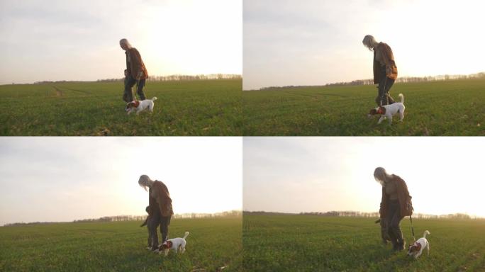 母子带着狗在夕阳的绿色麦田里奔跑