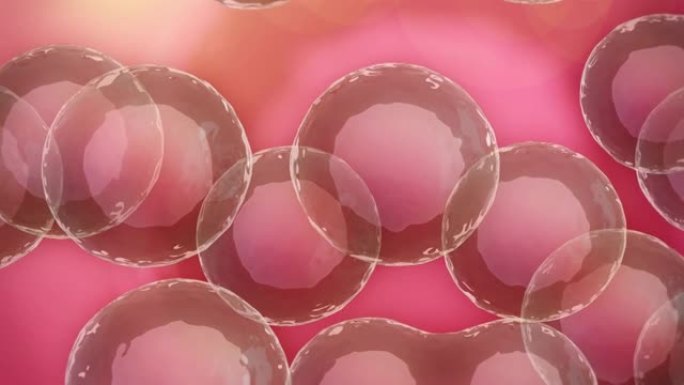 细胞粉红色2