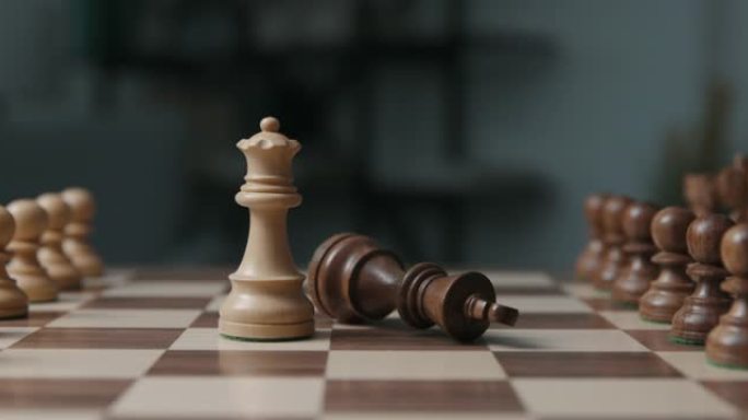 国际象棋游戏: 黑王被选中