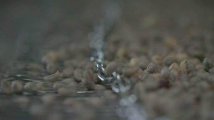 电影特写镜头使用咖啡豆分拣机烘烤，根据大小选择咖啡豆。