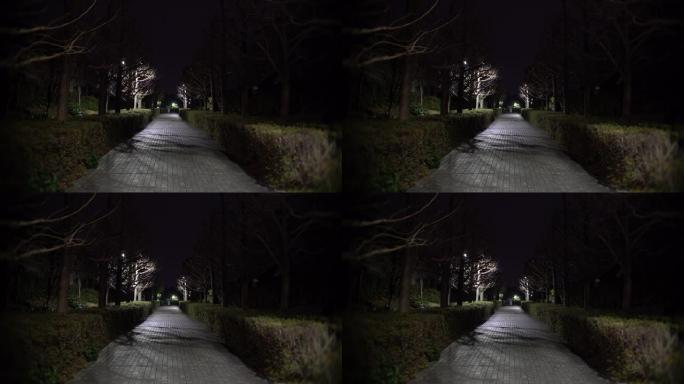 夜晚，东京多摩市住宅区的安静小路