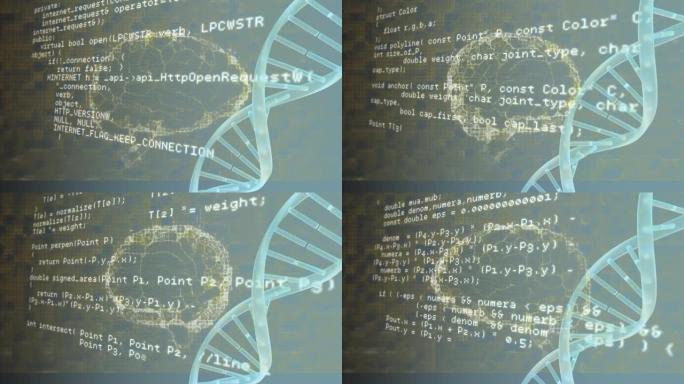 dna链和人脑在数据处理上的动画