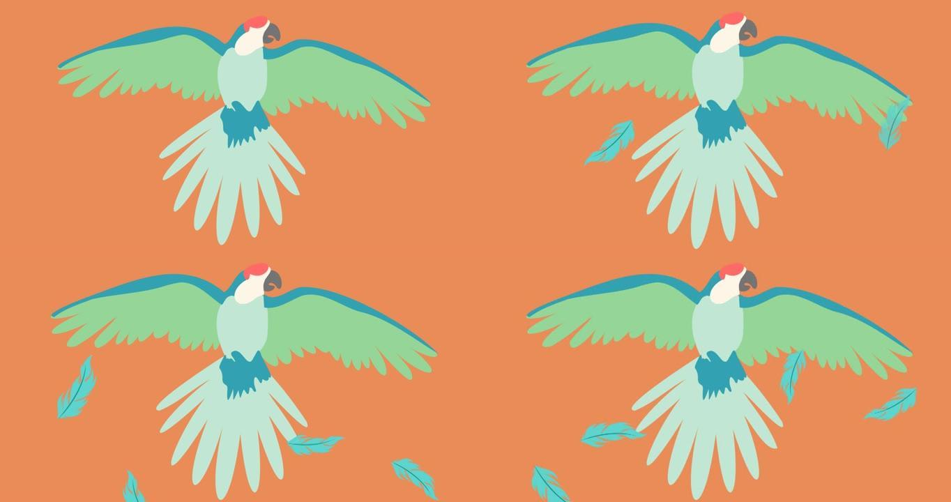 青鸟在橙色背景上飞翔的动画