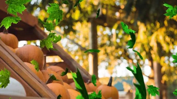 秋叶落在架子上的南瓜上的动画