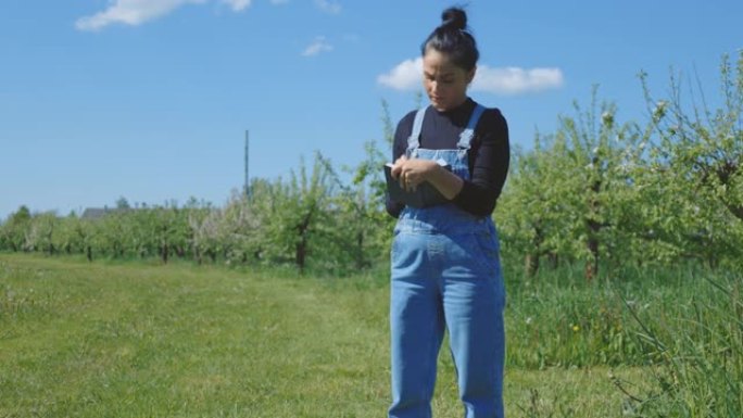 女农民在苹果果园写生产笔记和计数树