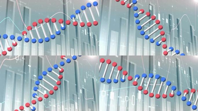 dna链在统计上的动画