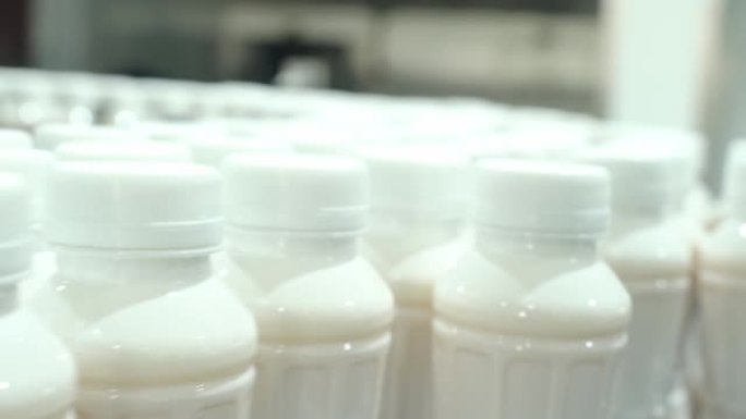 工厂生产牛奶加工自动化