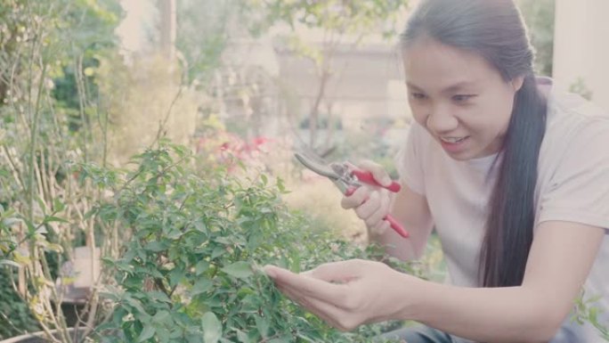 年轻女子在花园工作以照顾植物和花卉