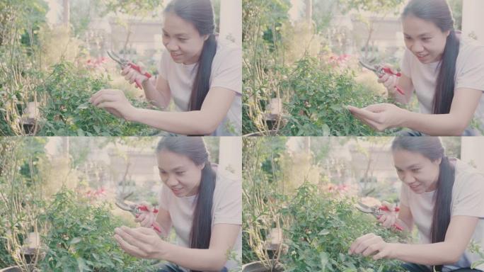 年轻女子在花园工作以照顾植物和花卉