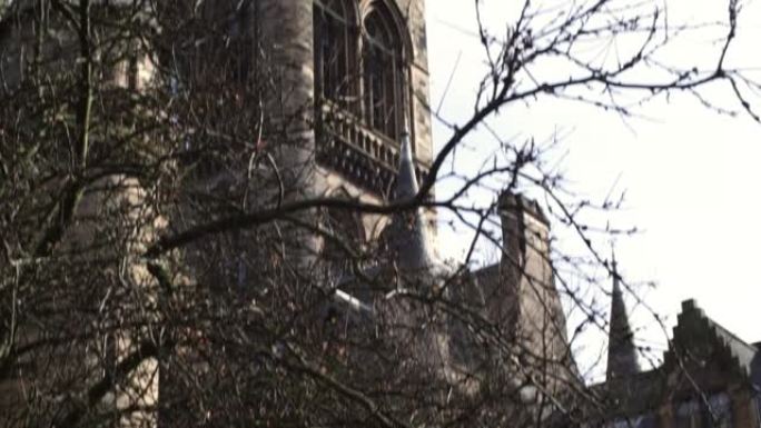 英国苏格兰格拉斯哥大教堂的裸树