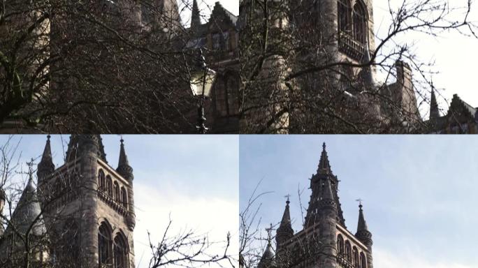 英国苏格兰格拉斯哥大教堂的裸树