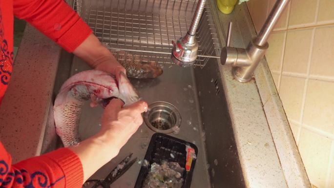 草鱼开膛去内脏杀鱼处理鱼肉 (2)