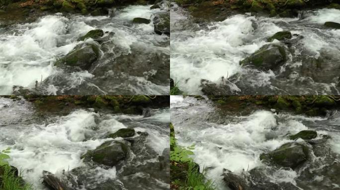 春山森林中的暴风雨小溪