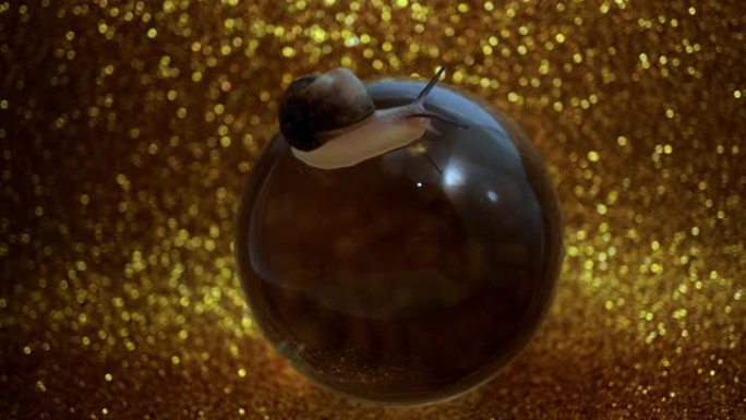深色玻璃球和金色背景上的蜗牛