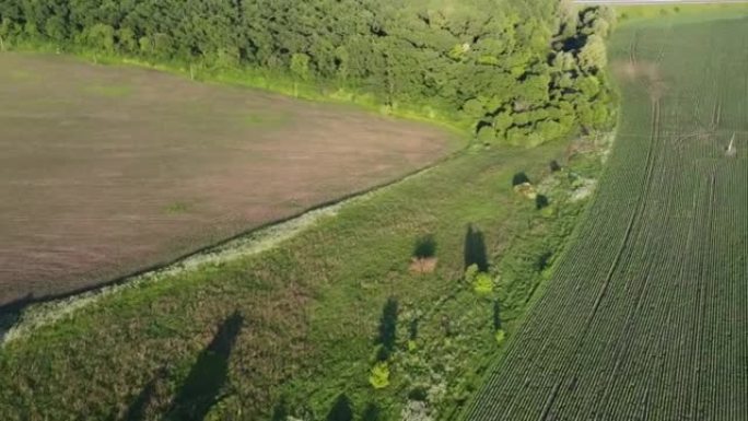 农村田野间大垃圾堆的航拍。飞越垃圾车，在户外空旷的地方倾倒垃圾。全球环境污染问题。顶视图。