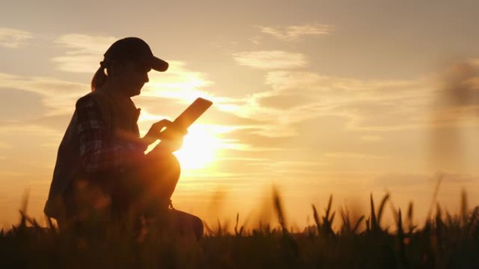 日落时在田间使用数字平板电脑的农民的剪影