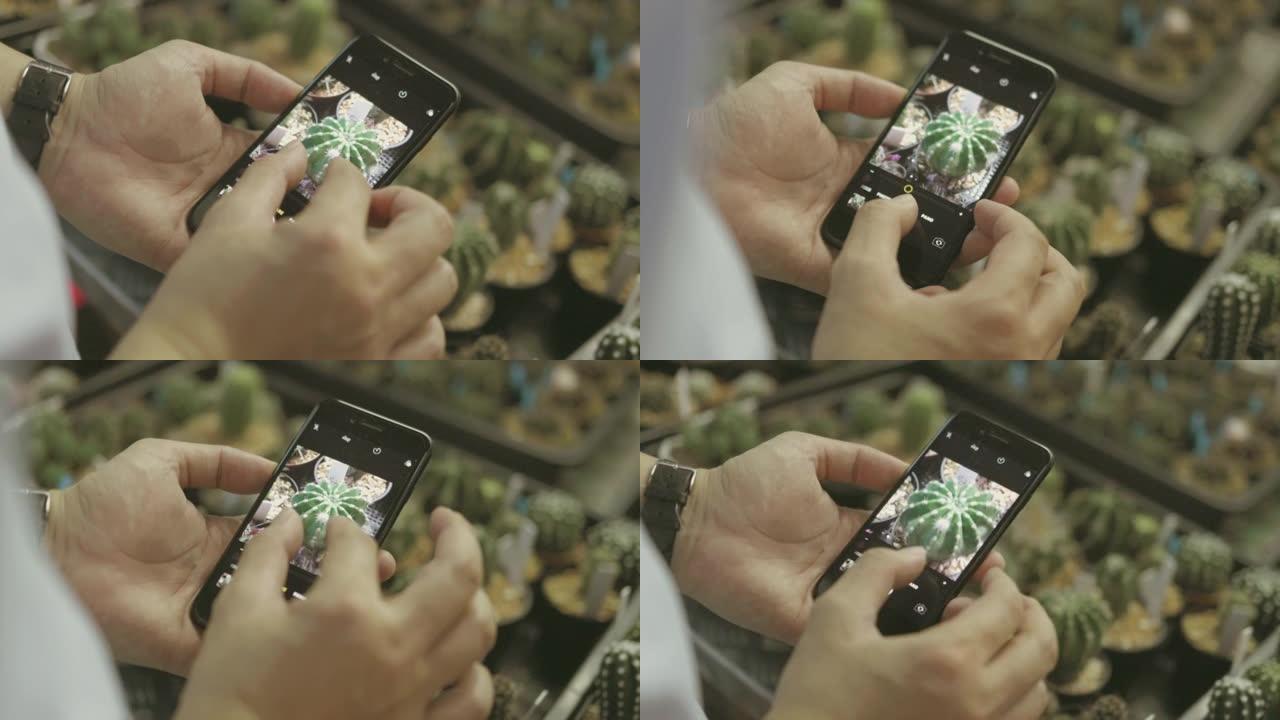 一名男子用智能手机摄像头特写一组仙人掌图片-股票视频