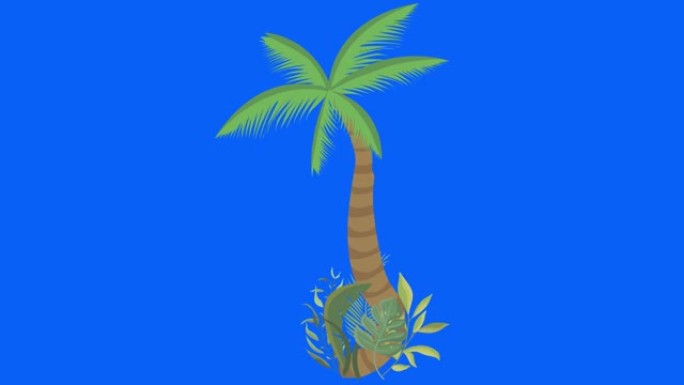 棕榈树随风移动，色键，无缝循环动画