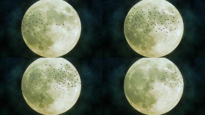 一群鸟在巨大的月亮前飞翔，背景中闪烁着星星