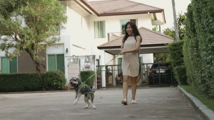 遛狗与美女和她可爱的狗-股票视频