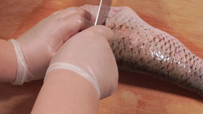 草鱼切段切鱼肉鱼块 (4)