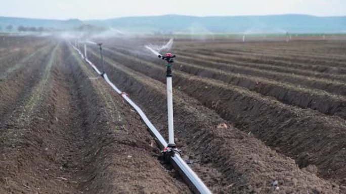 洒水器灌溉刚耕的农田