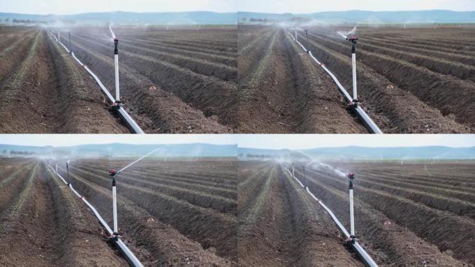 洒水器灌溉刚耕的农田