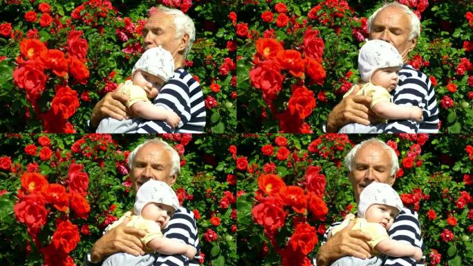 祖父和曾孙女在花园里玫瑰的背景上