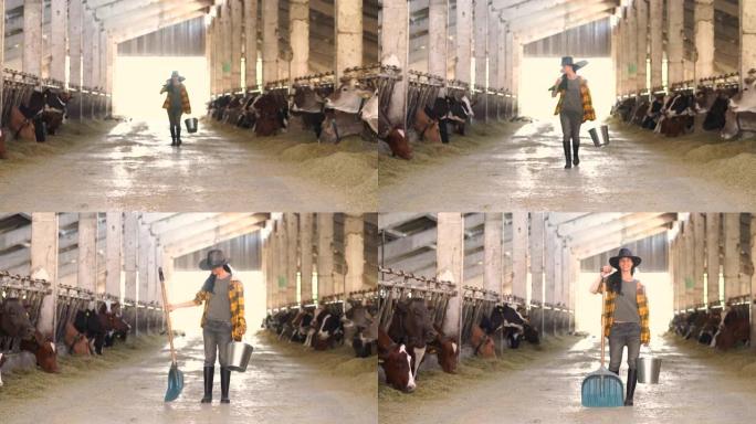 4k视频中年女农场工人拿着水桶和铁锹，穿过牛棚设施，成群的母牛站在饲养场中