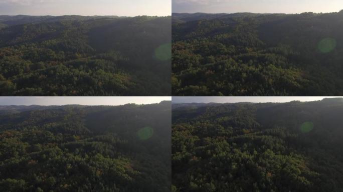 4k空中森林变焦效果-长号镜头